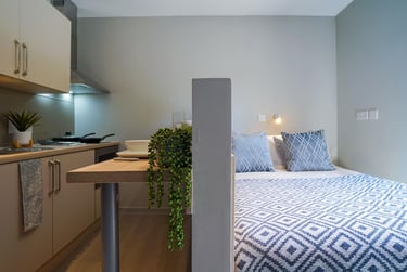 Premium Studio at Straits Meadow, 61-63 London Road, Meadowbank, Edinburgh, EH76AA - Image 1
