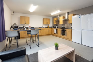 Non Ensuite - Gold at St Peter House, St Peter Street, Pittodrie, Aberdeen, AB243HU - Image 10