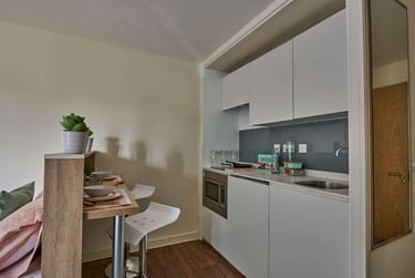 Deluxe Accessible Studio - Image 3