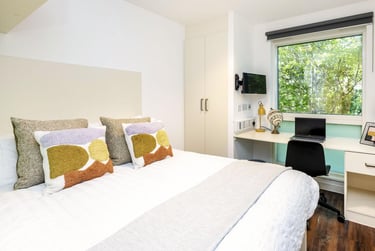 Deluxe Studio - Image 1