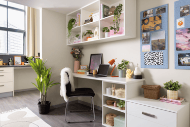 Premium Plus Studio - Image 3