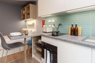 Studio Plus at Mayfield Residences, 224 Mayfield Road, Marchmont, Edinburgh, EH93BE - Image 2