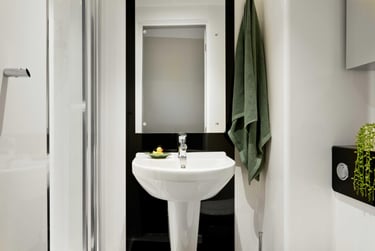 Silver Plus Ensuite - Image 2