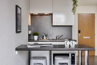 Silver Studio - Accessible - Image 2