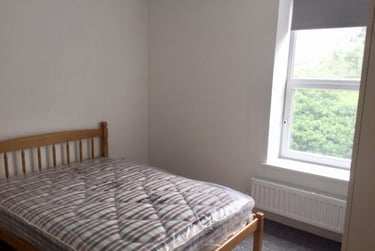 3 bed house, Barber Place, Crookesmoor, Sheffield, S101EG - Image 6