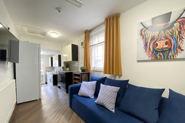 7 bed house, Mount Pleasant, City Centre, Liverpool, L35TB - Image 1