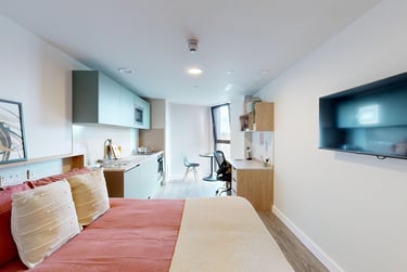 Premium Plus Studio - Image 1