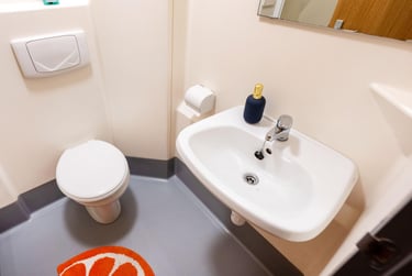 Classic Ensuite - Image 4