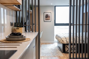 Deluxe Studio, Penthouse - Image 4