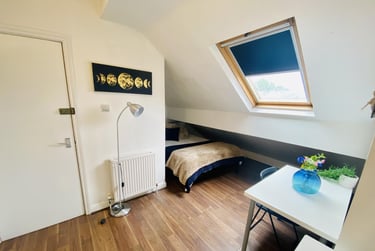 5 bed house, Pomona Street, Sharrow, Sheffield, S118JN - Image 7