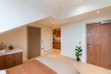 Premium Plus Studio at Ryan Hall, 28 Elmwood Avenue, Queen's Quarter, Belfast, BT96AY - Image 3
