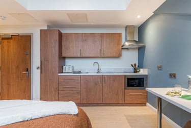 Premium Studio at Ryan Hall, 28 Elmwood Avenue, Queen's Quarter, Belfast, BT96AY - Image 9