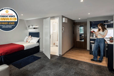 Sapphire Studio - Image 1
