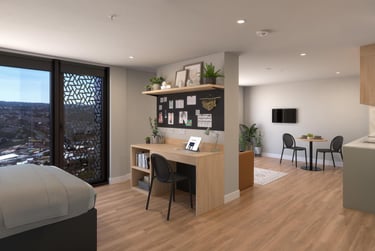 Deluxe Studio, Penthouse - Image 1