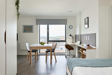 Silver Studio at Sharman Court, Broad Lane, City Centre, Sheffield, S14FA - Image 12