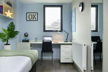 Silver Plus Ensuite - Image 11