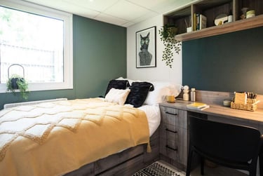 Luxury Ensuite Plus - Image 1