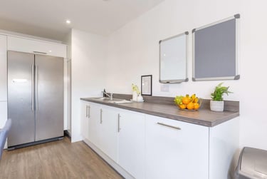 Standard Plus Ensuite - Image 3
