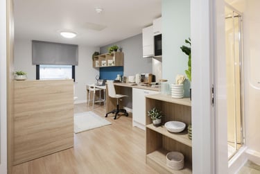 Standard Studio - Image 3