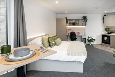 true Sky Superior Studio at true Sheffield, 12 Tenter Street, City Centre, Sheffield, S14XF - Image 4