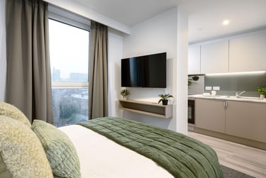 true Studio Plus at true Sheffield, 12 Tenter Street, City Centre, Sheffield, S14XF - Image 1
