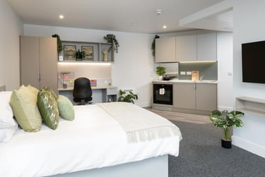 true Superior Studio at true Sheffield, 12 Tenter Street, City Centre, Sheffield, S14XF - Image 3