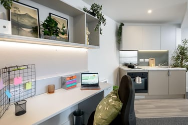 true Superior Studio at true Sheffield, 12 Tenter Street, City Centre, Sheffield, S14XF - Image 8