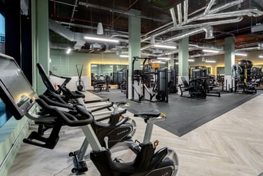 true Accessible Studio - Image 19