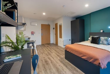 Deluxe Studio - Image 5