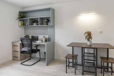 Premium Plus Studio - Image 2