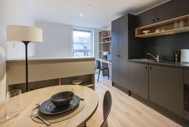 Standard Studio at Straits Place, East Newington Place, City Centre, Edinburgh, EH91QP - Image 5