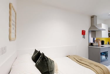 Deluxe Studio - Image 6