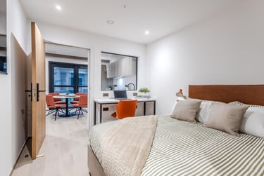 Large 2 Bedroom - Image 4