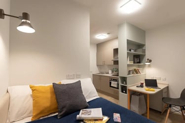 Premium Studio at SEREN, 66 Alexandra Road, City Centre, Swansea, SA15BD - Image 1