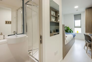 Bronze Sky View Ensuite - Image 8