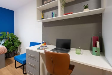 Silver Studio Plus - Image 6