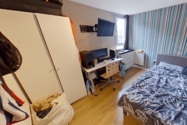 6 bed house, Park Road, Lenton, Nottingham, NG71LB - Image 4