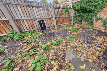 6 bed house, Park Road, Lenton, Nottingham, NG71LB - Image 14