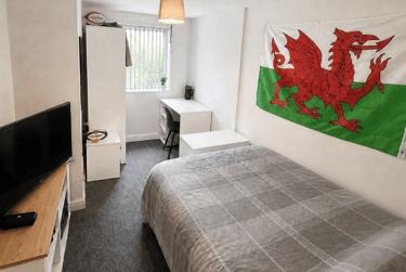 7 bed house, Treherbert Street, Cathays, Cardiff, CF244JN - Image 7