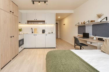 Large Premium Studio - Image 3