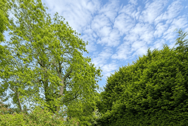 6 bed house, Pelham Crescent, Lenton Abbey, Nottingham, NG92ER - Image 10