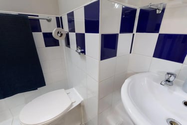 Silver Ensuite - Image 3