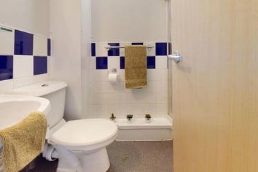 Bronze Ensuite - Image 3