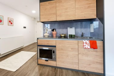Luxury Studio - Image 2
