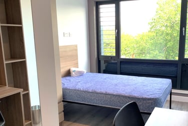Classic Plus Ensuite at Howard Gardens, Howard Gardens, Adamsdown, Cardiff, CF240FA - Image 7