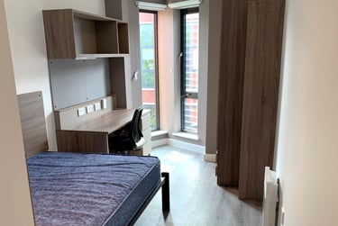 Deluxe Ensuite at Howard Gardens, Howard Gardens, Adamsdown, Cardiff, CF240FA - Image 8