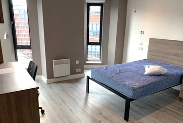 Superior Ensuite at Howard Gardens, Howard Gardens, Adamsdown, Cardiff, CF240FA - Image 7