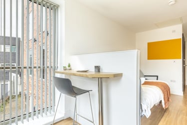 Deluxe Studio at Orbital, Ilkeston Road, Canning Circus, Nottingham, NG73GE - Image 3