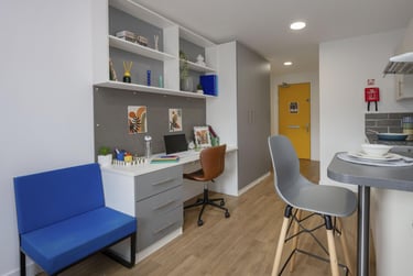 Silver Studio Plus - Image 1