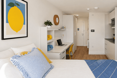 Gold Studio at Scholars View, Neal Drive, Near University, Cambridge, CB42WS - Image 8
